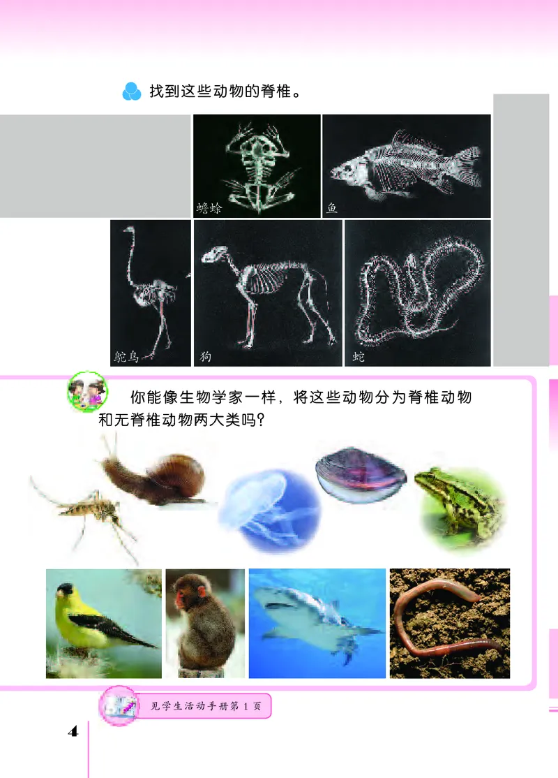 苏教版4年级科学上册高清教材_全部版本&bull;小学科学电子课本_苏教版小学科学电子课本