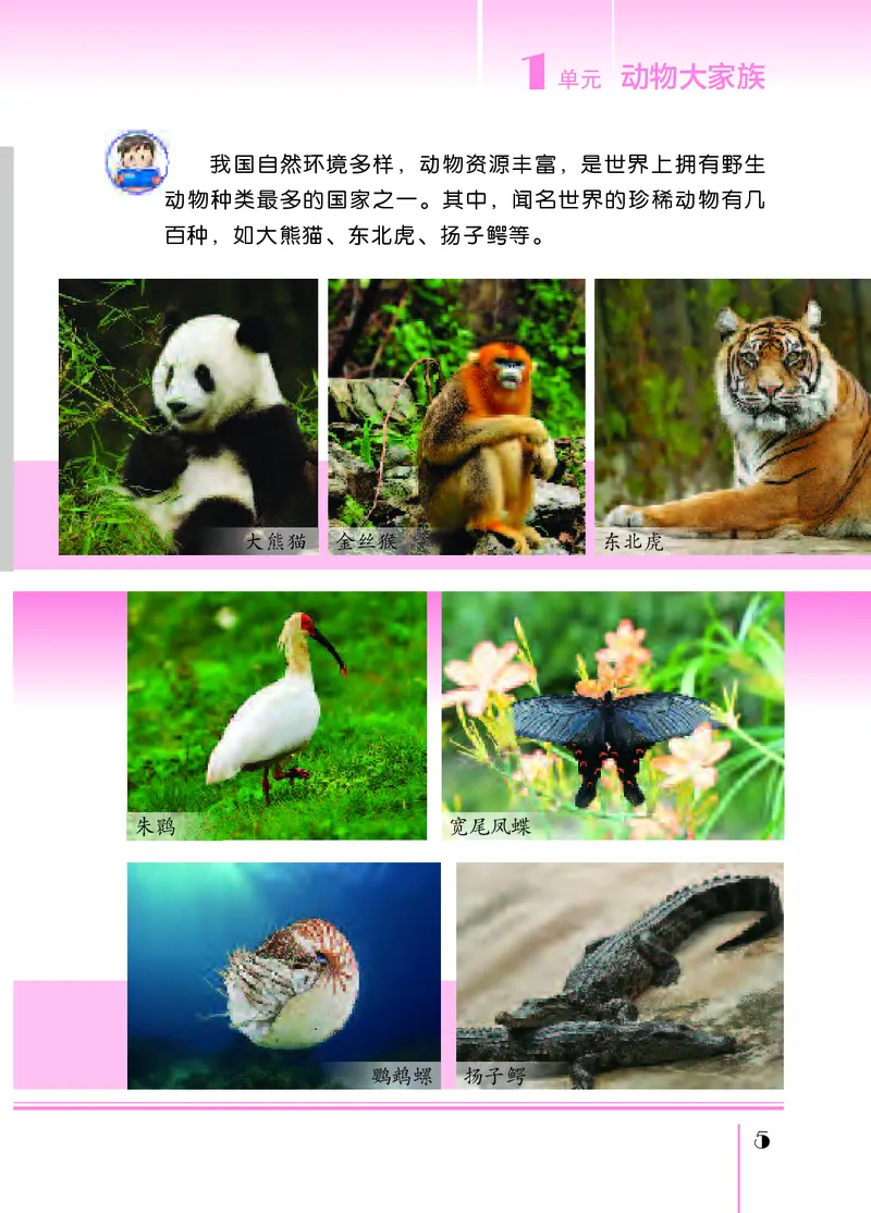 苏教版4年级科学上册高清教材_全部版本&bull;小学科学电子课本_苏教版小学科学电子课本