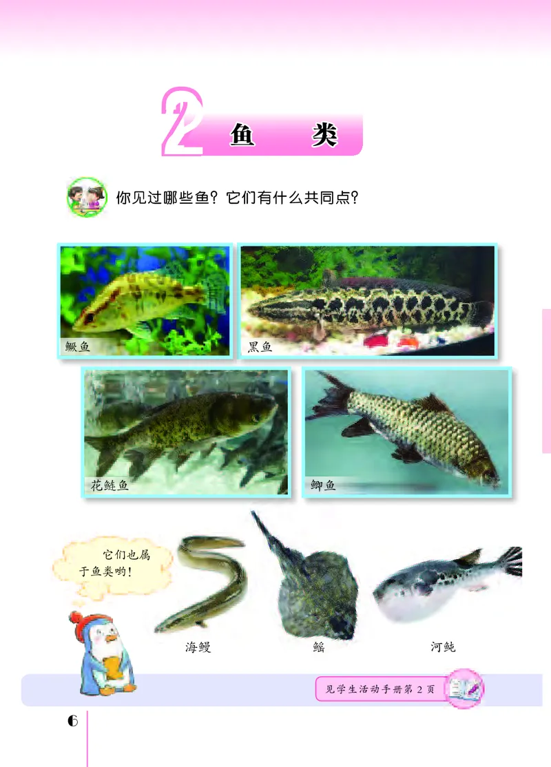 苏教版4年级科学上册高清教材_全部版本&bull;小学科学电子课本_苏教版小学科学电子课本