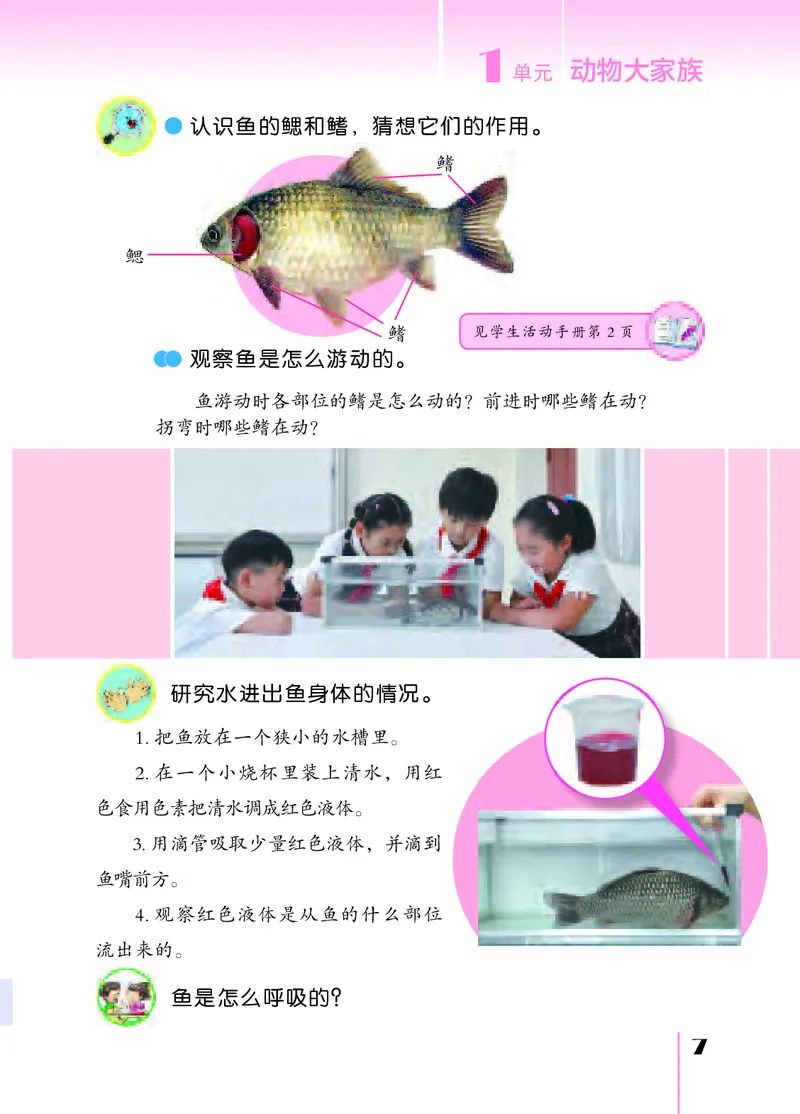 苏教版4年级科学上册高清教材_全部版本&bull;小学科学电子课本_苏教版小学科学电子课本