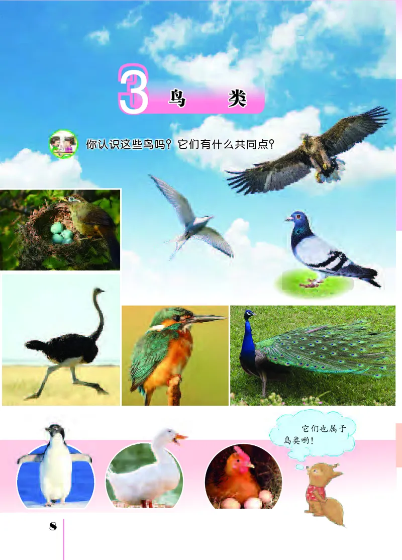 苏教版4年级科学上册高清教材_全部版本&bull;小学科学电子课本_苏教版小学科学电子课本