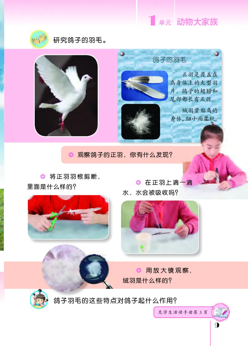 苏教版4年级科学上册高清教材_全部版本&bull;小学科学电子课本_苏教版小学科学电子课本