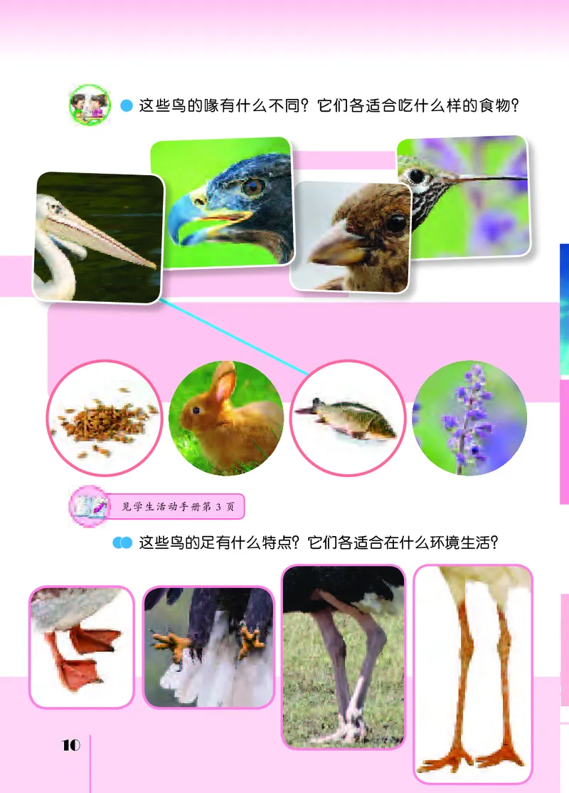 苏教版4年级科学上册高清教材_全部版本&bull;小学科学电子课本_苏教版小学科学电子课本