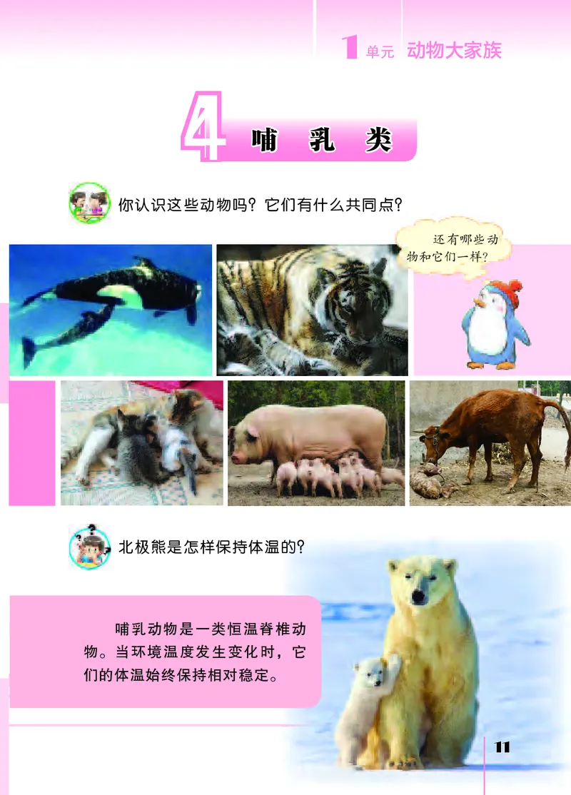 苏教版4年级科学上册高清教材_全部版本&bull;小学科学电子课本_苏教版小学科学电子课本