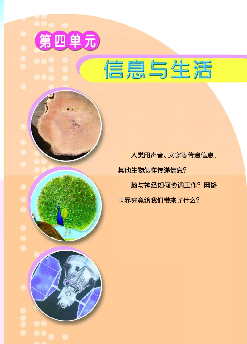 青岛版6年级科学下册高清教材_全部版本&bull;小学科学电子课本_青岛版63制小学科学课本