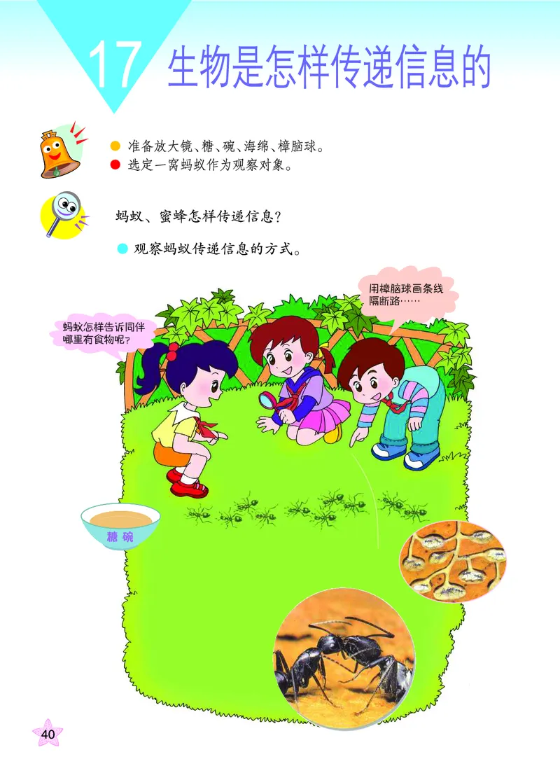 青岛版6年级科学下册高清教材_全部版本&bull;小学科学电子课本_青岛版63制小学科学课本