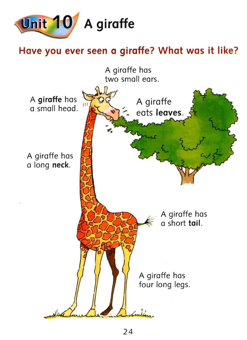 rc1比绘本还有趣的阅读理解文档提取2023.12.2910.00_一年级上下册资料_小学一年级学习资料-25年更新版_1-00、幼小衔接_幼小衔接自然拼读