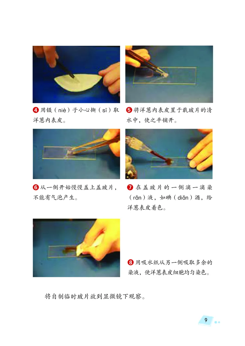 湘科版5年级科学下册高清教材_全部版本&bull;小学科学电子课本_湘科版小学科学电子课本
