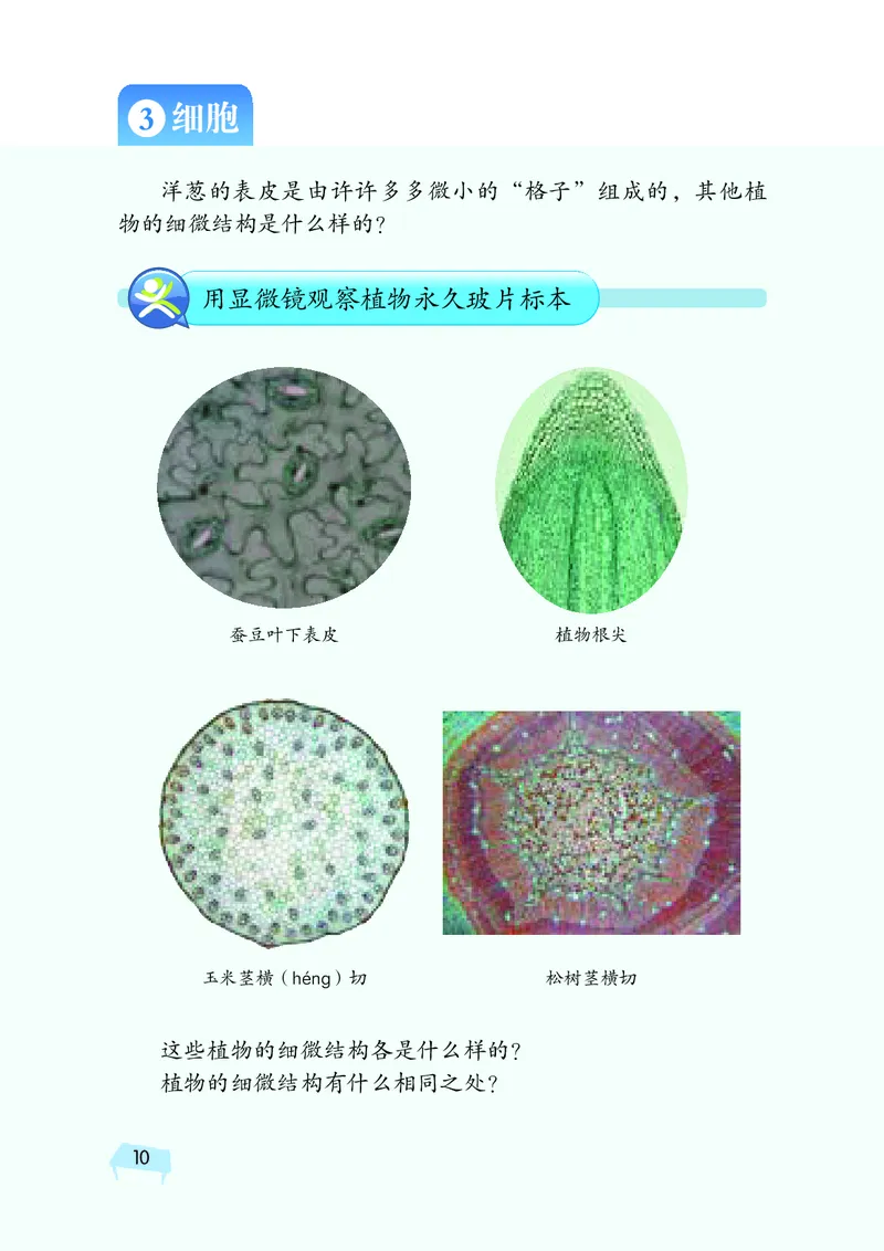 湘科版5年级科学下册高清教材_全部版本&bull;小学科学电子课本_湘科版小学科学电子课本