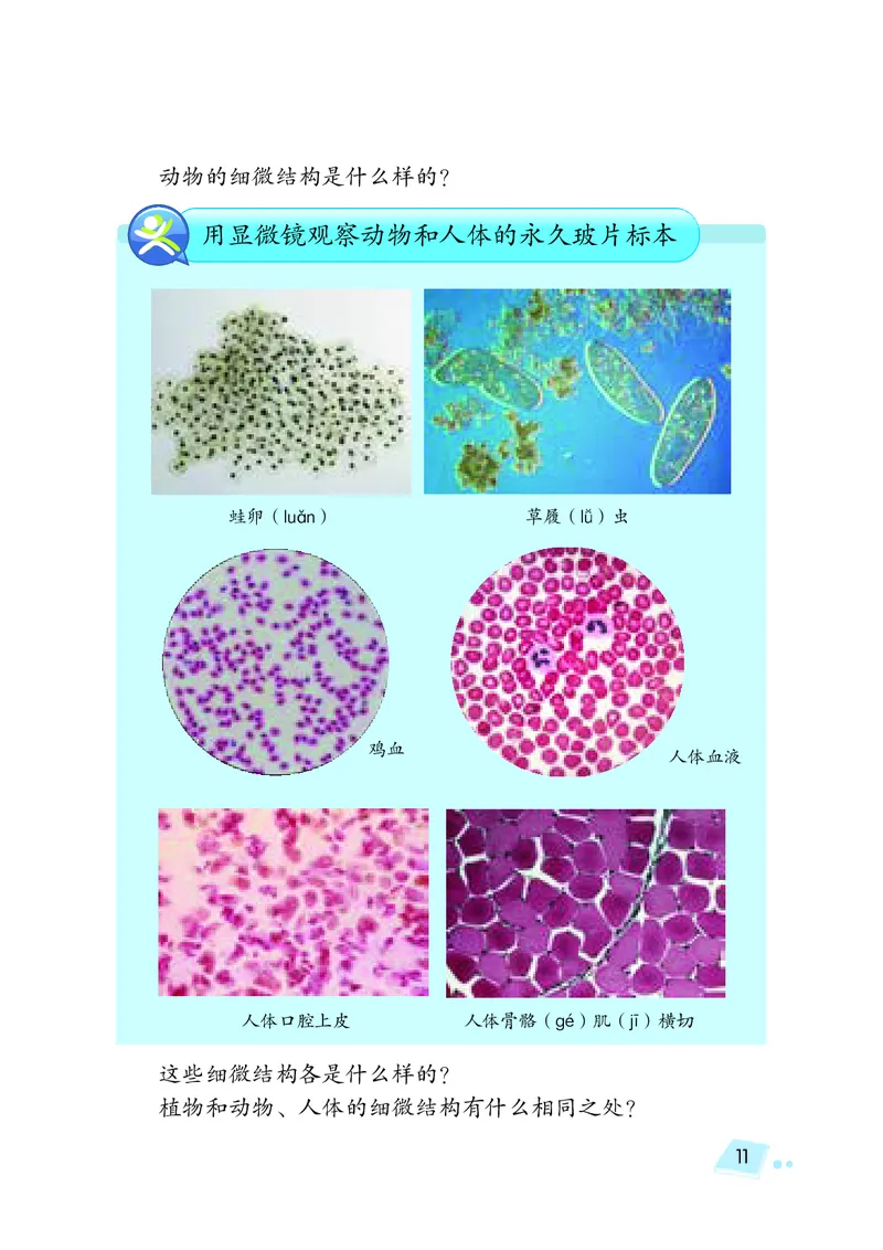 湘科版5年级科学下册高清教材_全部版本&bull;小学科学电子课本_湘科版小学科学电子课本