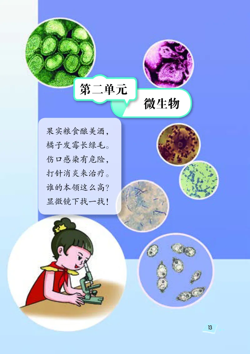 湘科版5年级科学下册高清教材_全部版本&bull;小学科学电子课本_湘科版小学科学电子课本