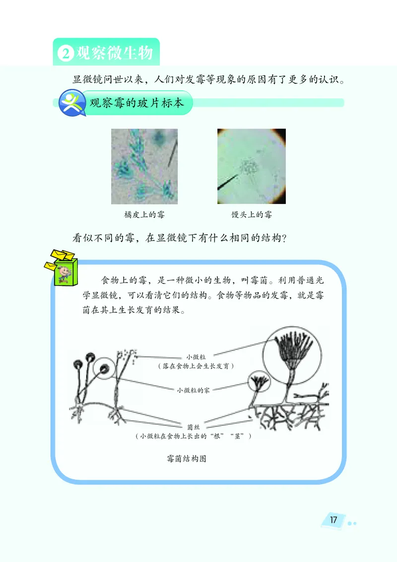 湘科版5年级科学下册高清教材_全部版本&bull;小学科学电子课本_湘科版小学科学电子课本