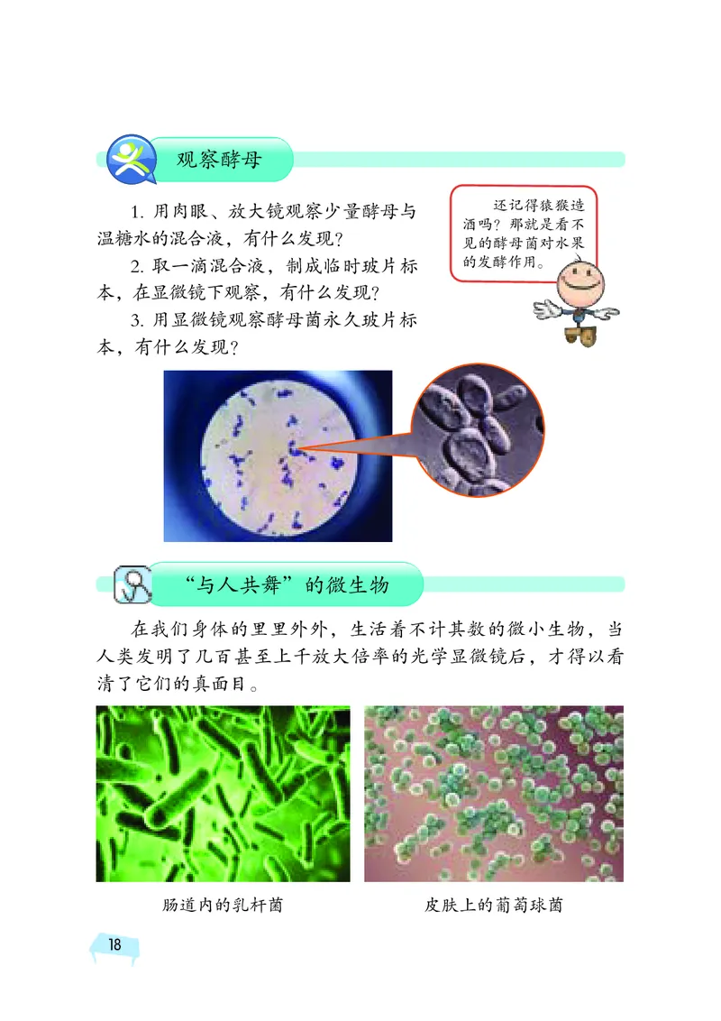 湘科版5年级科学下册高清教材_全部版本&bull;小学科学电子课本_湘科版小学科学电子课本