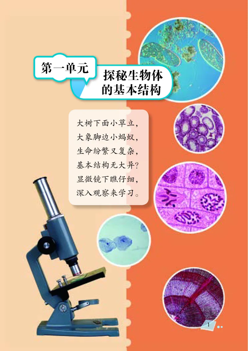 湘科版5年级科学下册高清教材_全部版本&bull;小学科学电子课本_湘科版小学科学电子课本