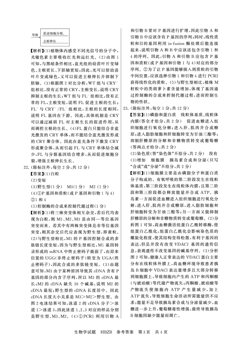 2025年3月高三T8联考生物试卷答案_@高三模考真题_2025年3月高三T8联考试卷及答案