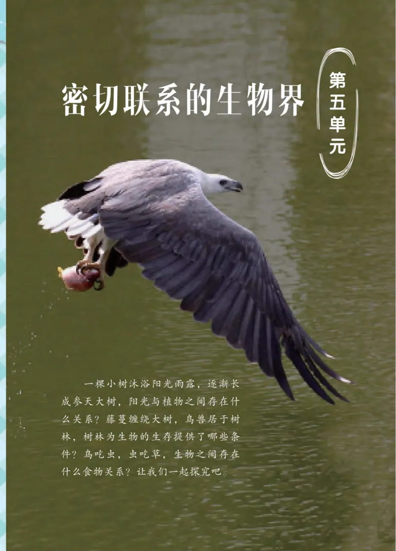 青岛版5年级科学下册高清教材_全部版本&bull;小学科学电子课本_青岛版63制小学科学课本