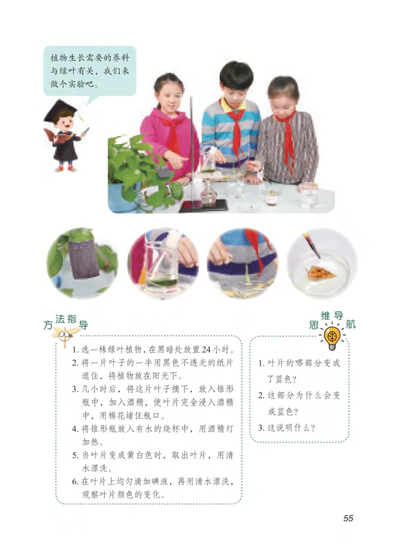 青岛版5年级科学下册高清教材_全部版本&bull;小学科学电子课本_青岛版63制小学科学课本