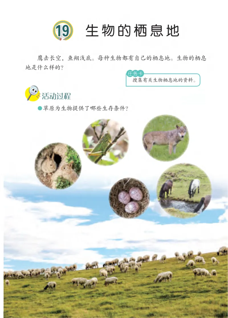 青岛版5年级科学下册高清教材_全部版本&bull;小学科学电子课本_青岛版63制小学科学课本