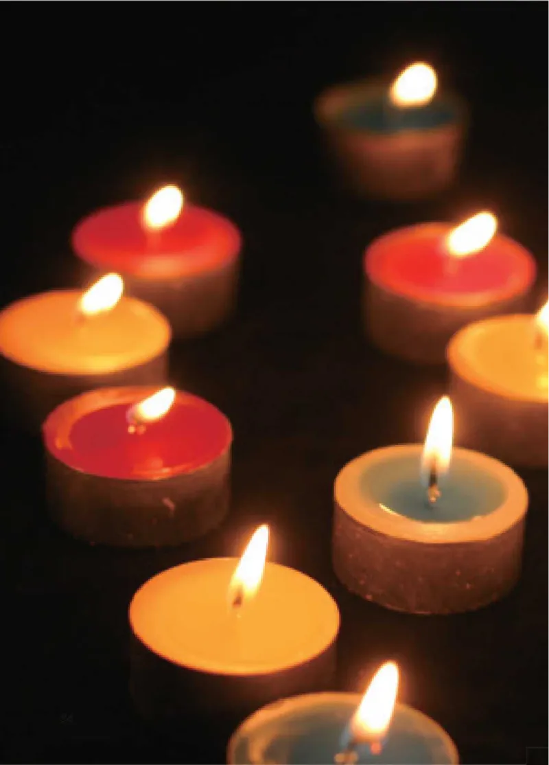 青岛版5年级科学下册高清教材_全部版本&bull;小学科学电子课本_青岛版63制小学科学课本