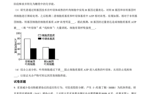 2023年高考生物试卷（河北）（空白卷）_生物历年高考真题_新&middot;PDF版2008-2025&middot;高考生物真题_生物（按年份分类）2008-2025_2023&middot;高考生物真题