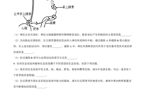 2023年高考生物试卷（全国乙卷）（空白卷）_生物历年高考真题_新&middot;PDF版2008-2025&middot;高考生物真题_生物（按省份分类）2008-2025_2010-2025&middot;（宁夏）生物高考真题