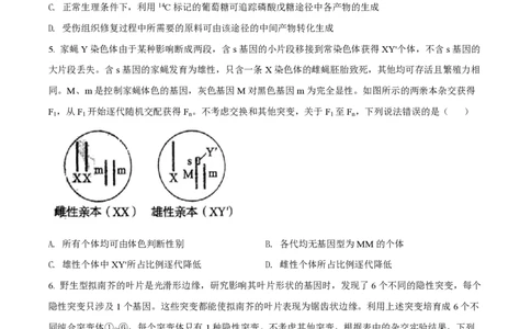 2022年高考生物试卷（山东）（空白卷）_生物历年高考真题_新&middot;PDF版2008-2025&middot;高考生物真题_生物（按试卷类型分类）2008-2025_自主命题卷&middot;生物（2008-2025）