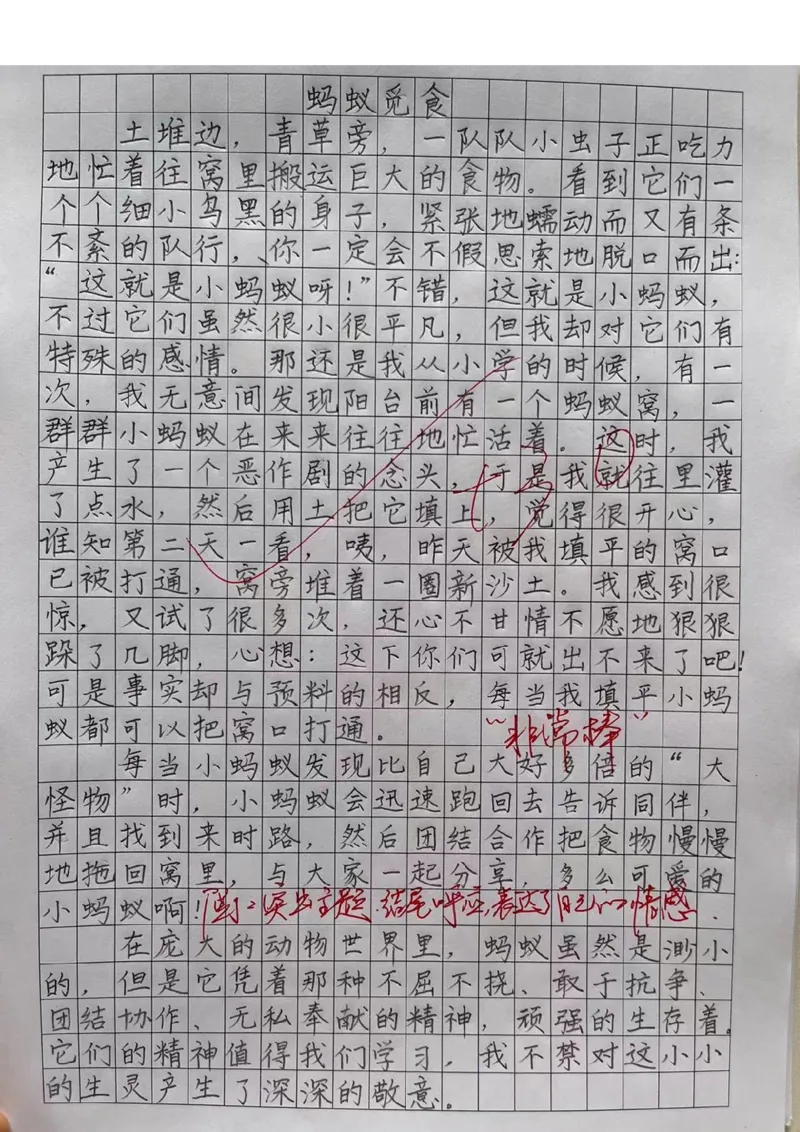 4.7抖音小红书三年级下册语文期中定制密卷_三年级上下册资料_小学三年级学习资料-25年更新版_3-02、小学三年级语文下册_3-2-2、练习题、作业、试题、试卷_期中测试卷