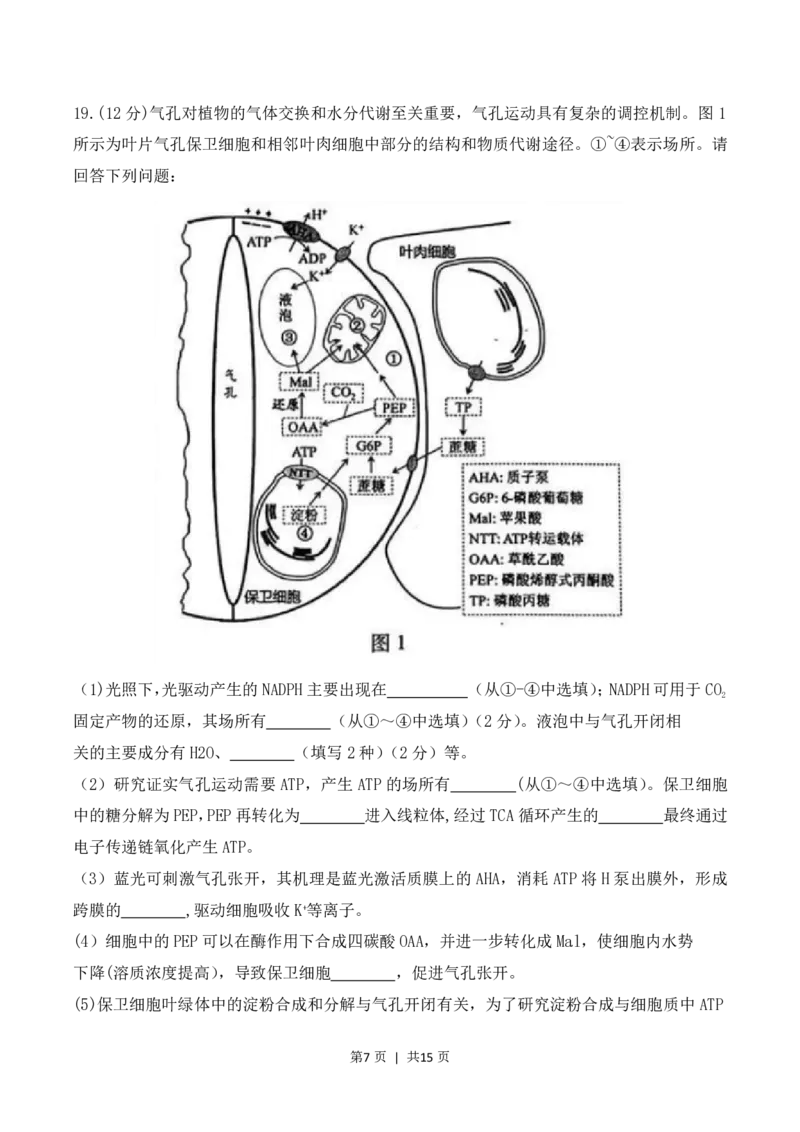 2023年高考生物试卷（江苏）（解析卷）_生物历年高考真题_新&middot;PDF版2008-2025&middot;高考生物真题_生物（按试卷类型分类）2008-2025_自主命题卷&middot;生物（2008-2025）_江苏自主命题&middot;生物（2008-2025）