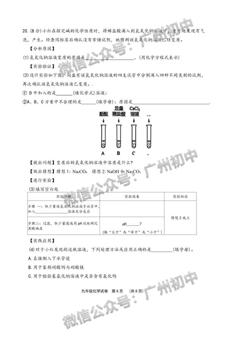2025广东广雅中学中考二模化学试题_广州九上月考+期中+期末+一模二模+中考真题_2025中考二模