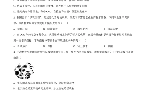 2022年高考生物试卷（广东）（空白卷）_生物历年高考真题_新&middot;PDF版2008-2025&middot;高考生物真题_生物（按试卷类型分类）2008-2025_自主命题卷&middot;生物（2008-2025）