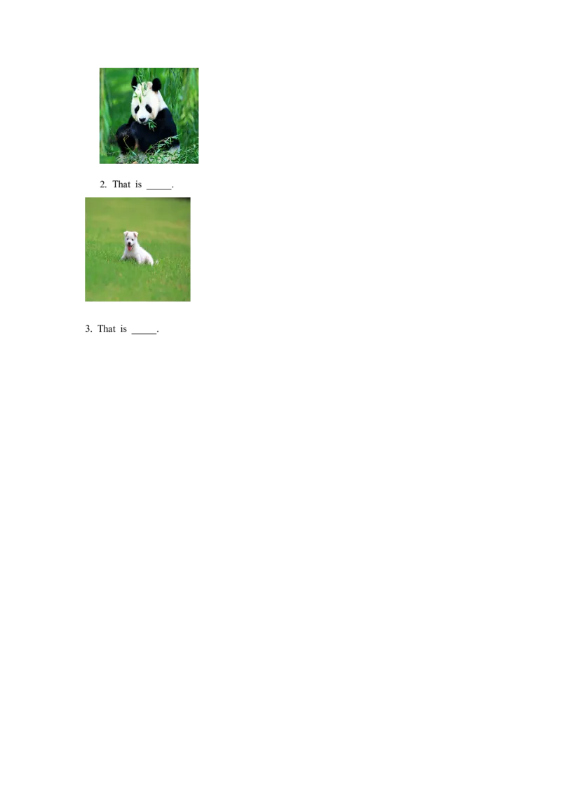 Module5Unit2Thatisayellowcat习题2_一年级上下册资料_一年级上语数英上下册学习资料_3-6-5、小学一年级英语上册_外研版一起点_2、同步练习_Module5