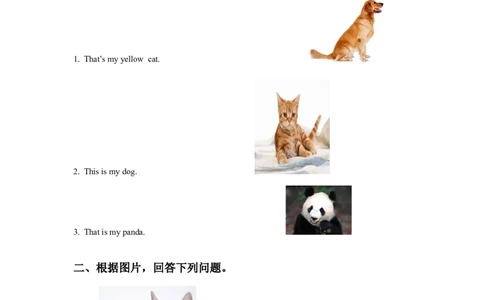 Module5Unit2Thatisayellowcat习题2_一年级上下册资料_一年级上语数英上下册学习资料_3-6-5、小学一年级英语上册_外研版一起点_2、同步练习_Module5