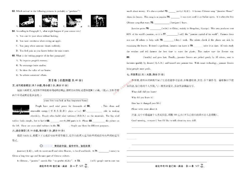 2026《中考英语45套》湖北_45套中招_2026《中考英语45套》湖北