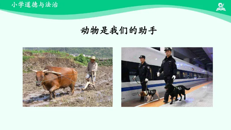 8可爱的动物_课件_一年级上下册资料_小学一年级学习资料-25年更新版_1-08、小学一年级道德与法治下册_课时练与课件