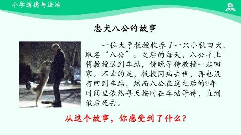 8可爱的动物_课件_一年级上下册资料_小学一年级学习资料-25年更新版_1-08、小学一年级道德与法治下册_课时练与课件