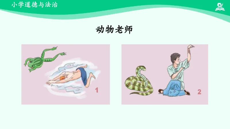 8可爱的动物_课件_一年级上下册资料_小学一年级学习资料-25年更新版_1-08、小学一年级道德与法治下册_课时练与课件