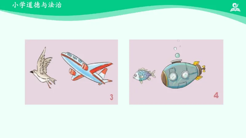 8可爱的动物_课件_一年级上下册资料_小学一年级学习资料-25年更新版_1-08、小学一年级道德与法治下册_课时练与课件