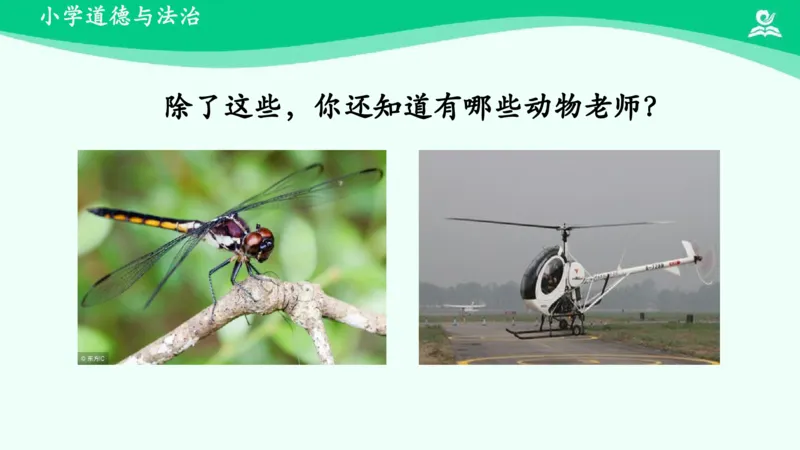 8可爱的动物_课件_一年级上下册资料_小学一年级学习资料-25年更新版_1-08、小学一年级道德与法治下册_课时练与课件