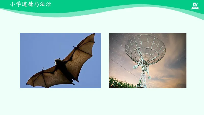 8可爱的动物_课件_一年级上下册资料_小学一年级学习资料-25年更新版_1-08、小学一年级道德与法治下册_课时练与课件