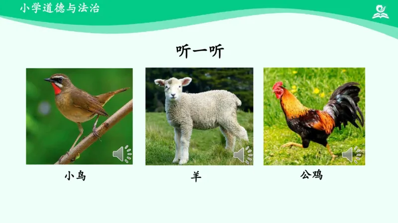 8可爱的动物_课件_一年级上下册资料_小学一年级学习资料-25年更新版_1-08、小学一年级道德与法治下册_课时练与课件