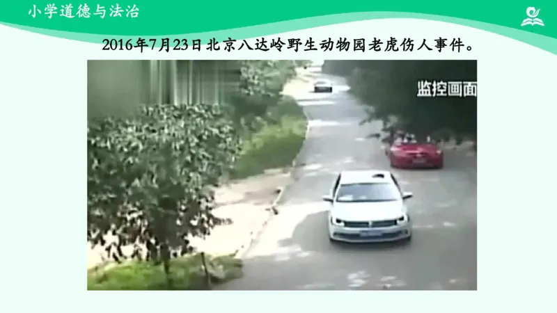 8可爱的动物_课件_一年级上下册资料_小学一年级学习资料-25年更新版_1-08、小学一年级道德与法治下册_课时练与课件