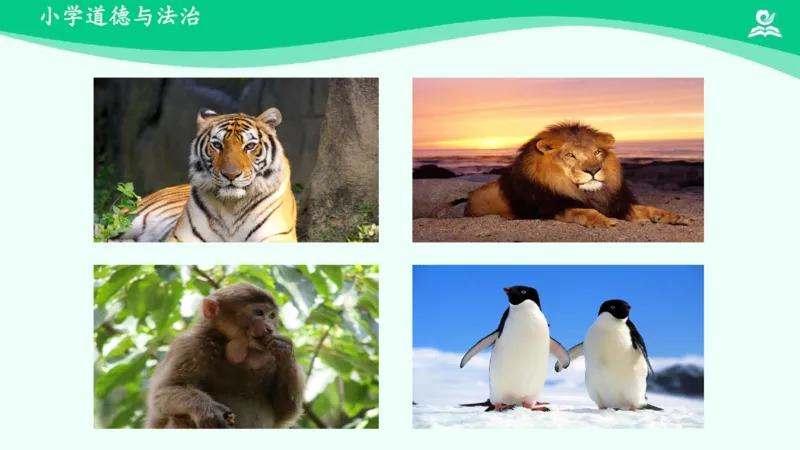 8可爱的动物_课件_一年级上下册资料_小学一年级学习资料-25年更新版_1-08、小学一年级道德与法治下册_课时练与课件