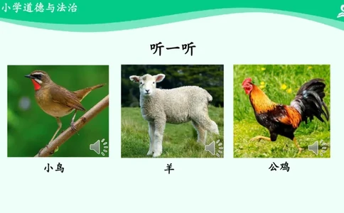 8可爱的动物_课件_一年级上下册资料_小学一年级学习资料-25年更新版_1-08、小学一年级道德与法治下册_课时练与课件