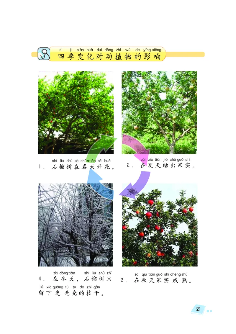 湘科版2年级科学下册高清教材_全部版本&bull;小学科学电子课本_湘科版小学科学电子课本