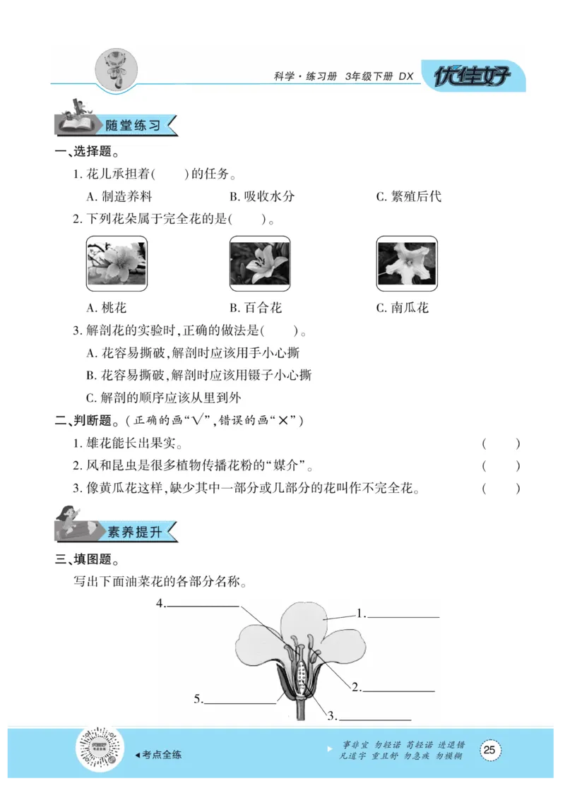《优佳好练习册》科学3年级下册（大象版）_三年级上下册资料_小学三年级学习资料-25年更新版_3-10、小学三年级科学下册_大象版_电子册类