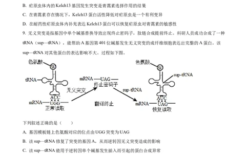 2022年高考生物试卷（福建）（空白卷）_生物历年高考真题_新&middot;Word版2008-2025&middot;高考生物真题_生物（按试卷类型分类）2008-2025_自主命题卷&middot;生物（2008-2025）