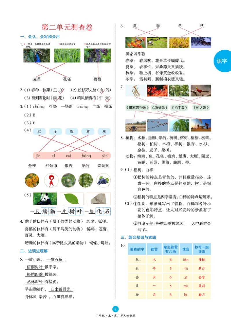 B2-2年级-六三版_二年级上下册资料_小学二年级学习资料-25年更新版_2-01、小学二年级语文上册_2-1-2、练习题、作业、试题、试卷_电子册类_《绘本课堂》语文2年级上册（RJ）