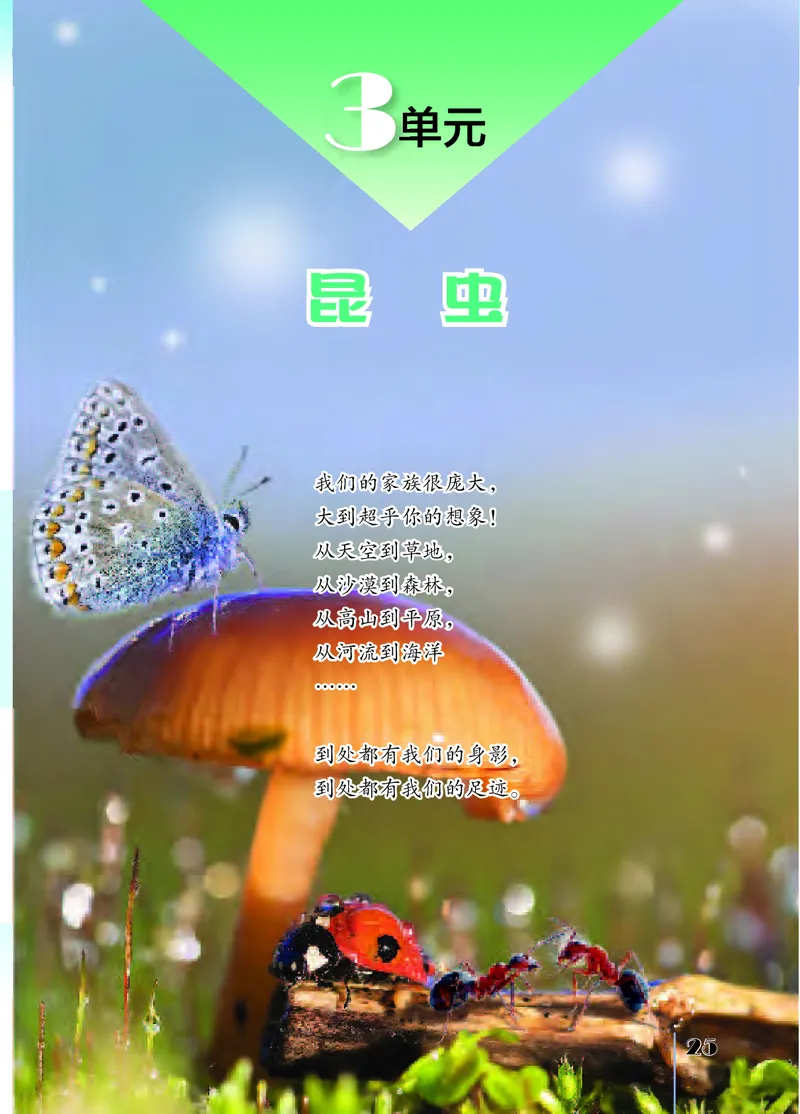 苏教版4年级科学下册高清教材_全部版本&bull;小学科学电子课本_苏教版小学科学电子课本