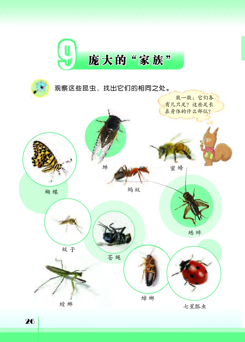 苏教版4年级科学下册高清教材_全部版本&bull;小学科学电子课本_苏教版小学科学电子课本