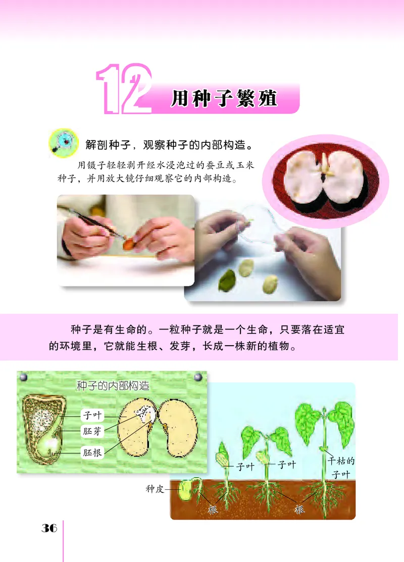 苏教版4年级科学下册高清教材_全部版本&bull;小学科学电子课本_苏教版小学科学电子课本